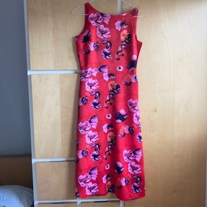 Banana Republic Floral V-back Fir and Flare Dress